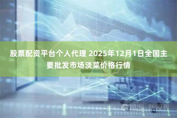 股票配资平台个人代理 2025年12月1日全国主要批发市场淡菜价格行情