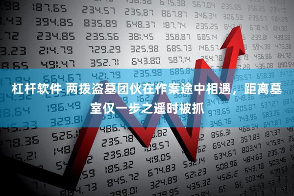 杠杆软件 两拨盗墓团伙在作案途中相遇，距离墓室仅一步之遥时被抓